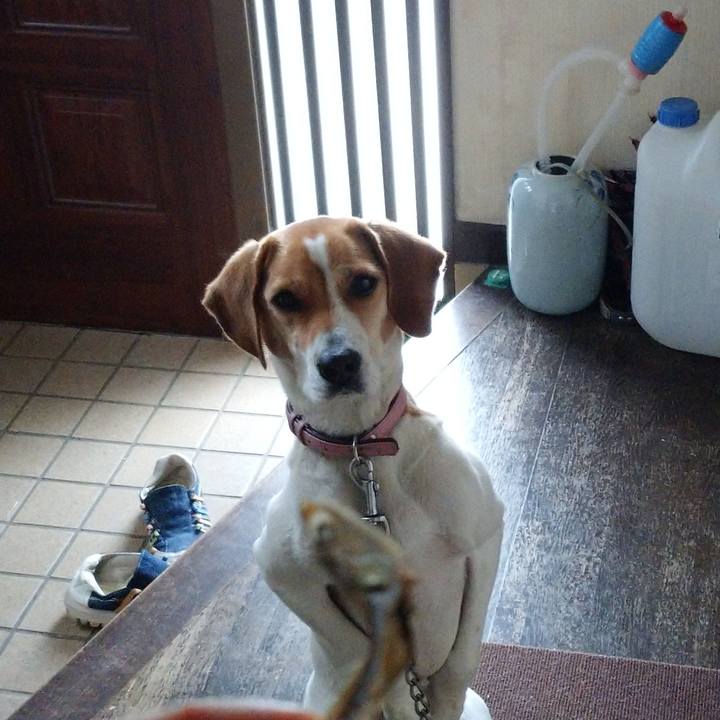 001c1396 46de 434a 8beb f84a132e4881 1580099787772