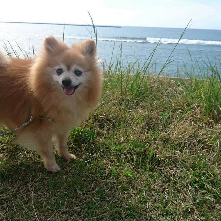 001c1f10 28de 4d13 8ae9 c3b019b28ec7 1588669817203