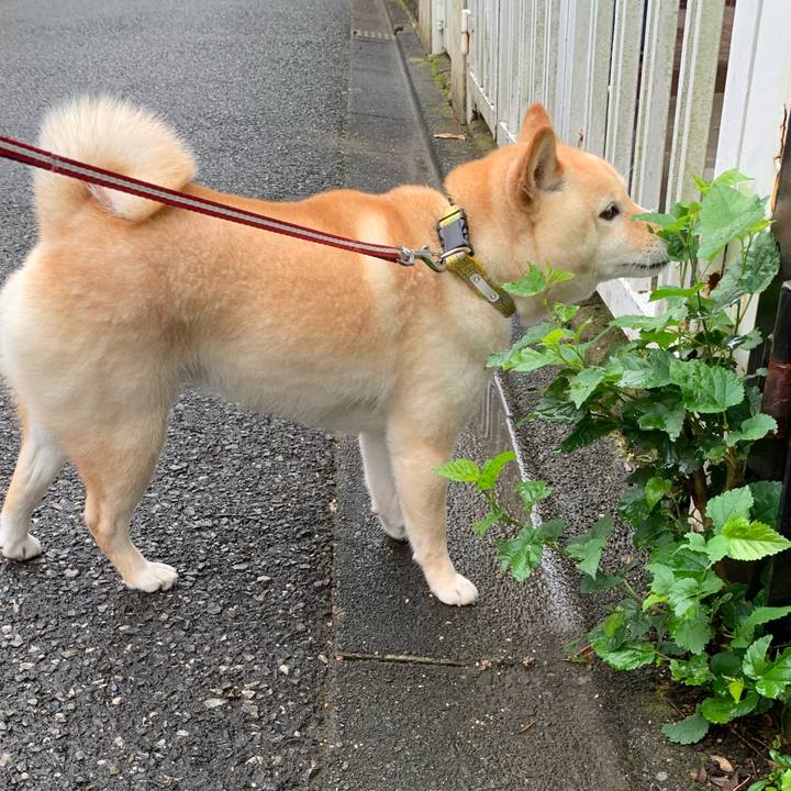 001c6459 a89f 4950 ab9b 30a58487d8b2 1655122708054