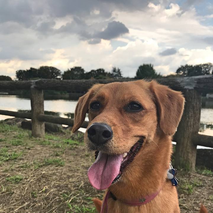 001c7060 e545 4866 abe7 70805832e90d 1537271195231