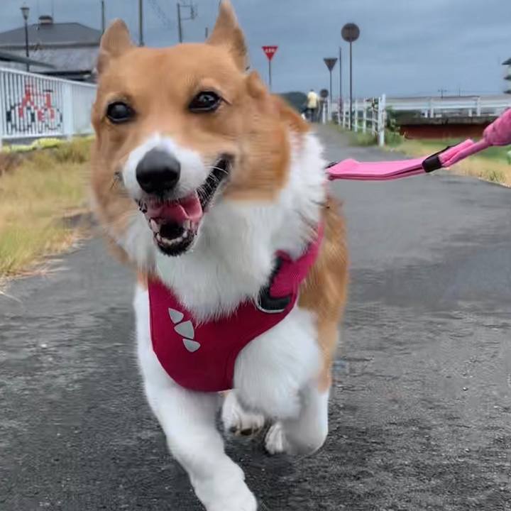 001c9266 5eff 4fd1 b8c8 717166a6f477 1694152047478