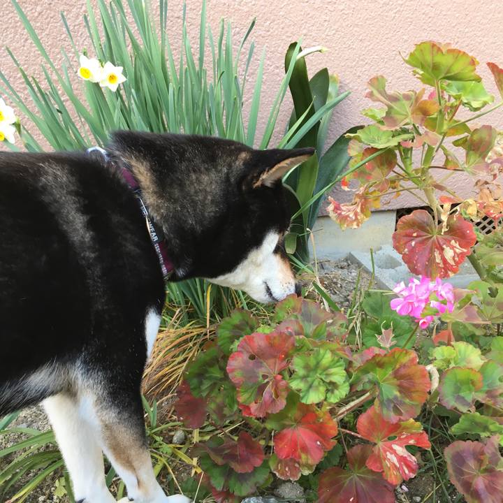 001cacbf d0fc 4a51 adaf 5990dc025f11 1515290766862