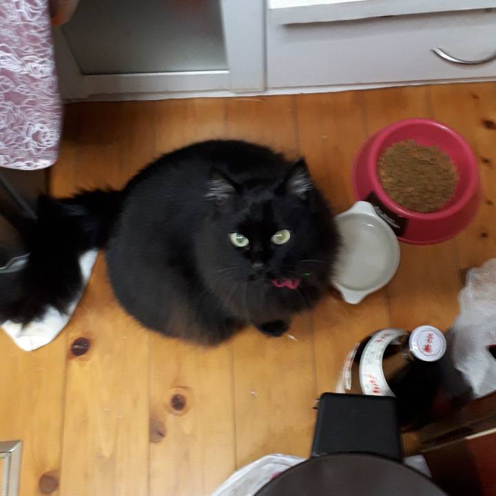 001ce53b fa03 4bda b1a1 b9b10ced5be3 1517602046694