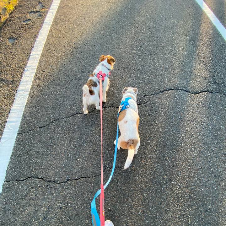 001d1dc6 731a 4a68 8a14 b259816b5579 1698707151474