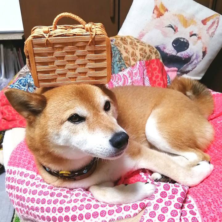 001d3bba 8037 4508 afd8 2fc3c69a95a7 1655983365112