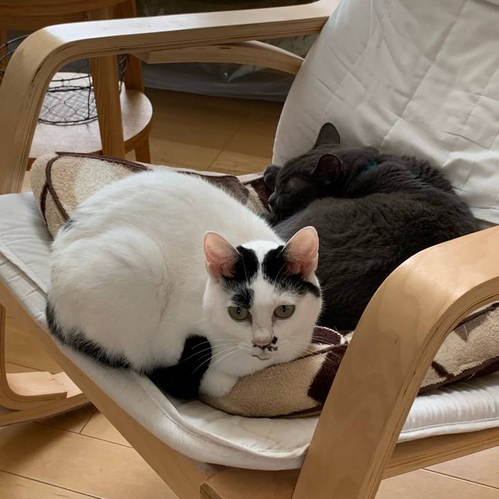 001d5388 3392 4852 a261 7ba6d97cea24 1717109869668