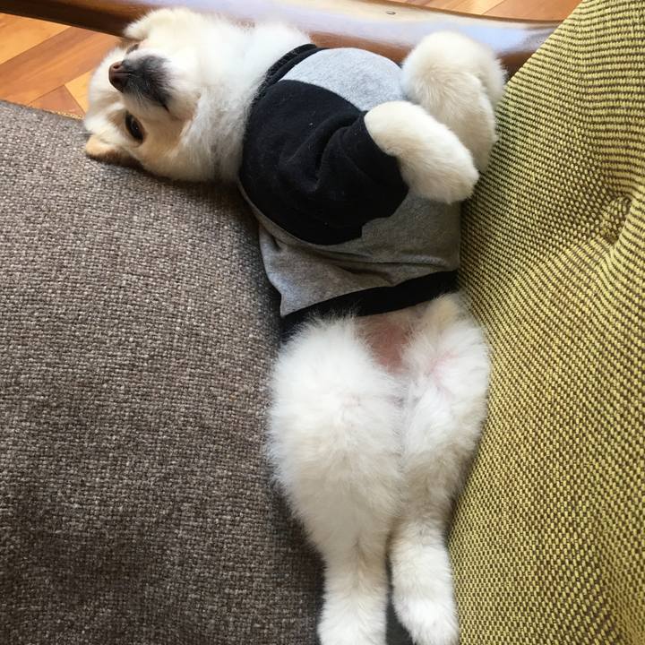 001da03e af7d 4e2f 884a 08e1628c415e 1590217159920