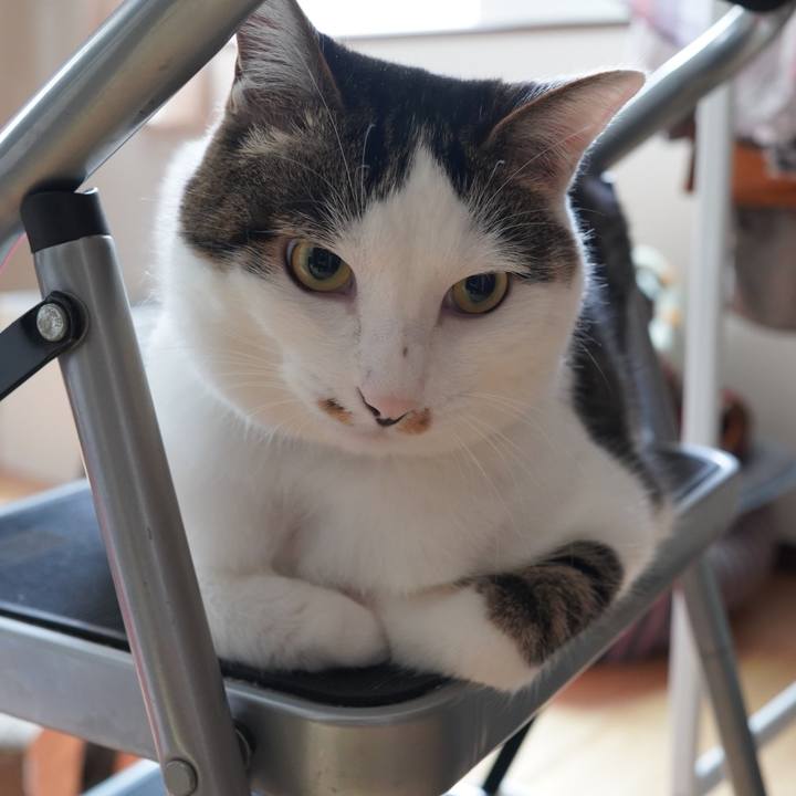 001da824 0691 4ed2 a6f0 b0e62deb1795 1592477792081