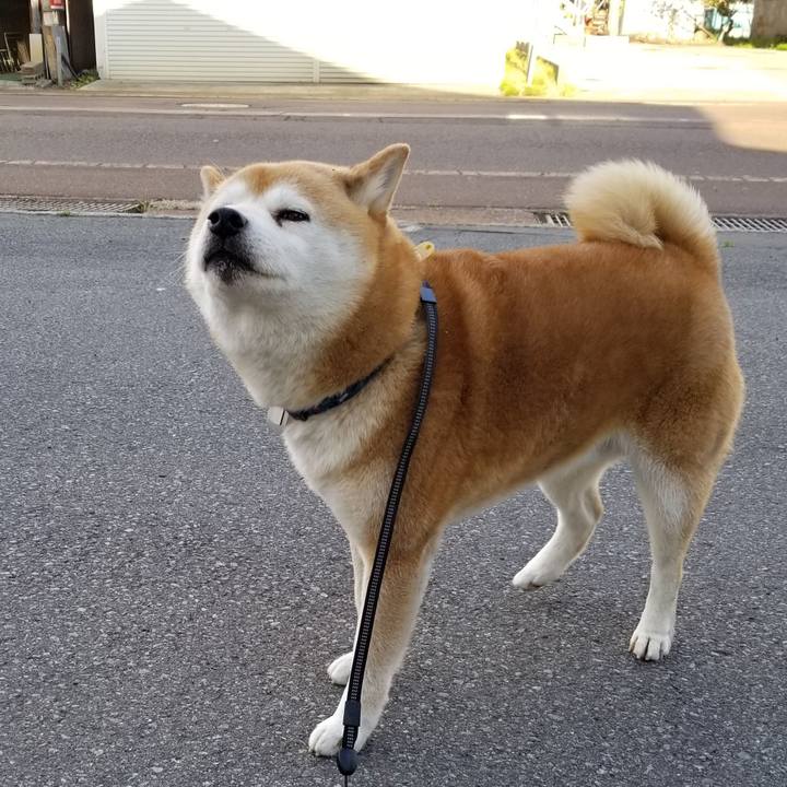 001db429 7ec7 432a 96cd cbb4f25c1c11 1588924535335