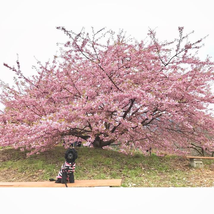 001de1c6 74f4 4b40 ab50 4428be3a32d3 1551575565149