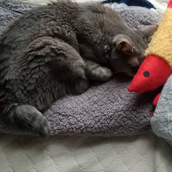 001df9cc ce06 4d01 bd66 56d3ca2ecf54 1695766878274