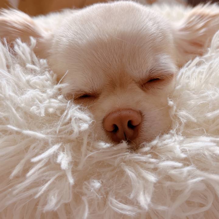 001e2494 836b 45c6 914e 380e36640b13 1682689068371