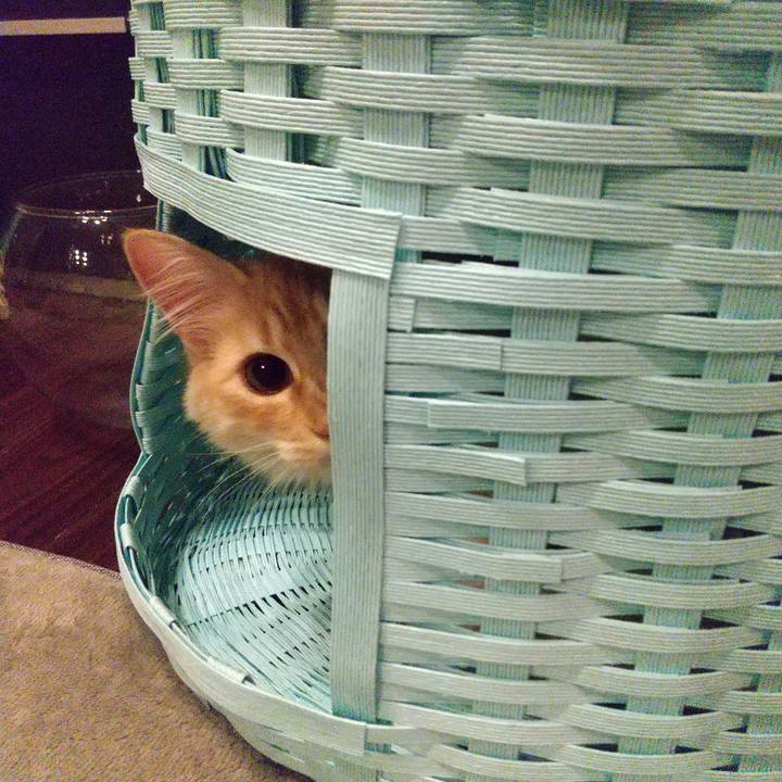 001e258c 2baa 45d1 a71e 0940e5bc3b8c 1618573059025