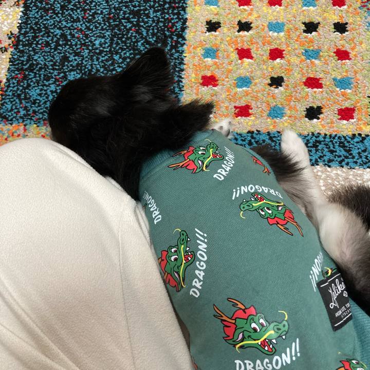 001e6c00 096a 4ef7 8fd0 396741101267 1699188257388