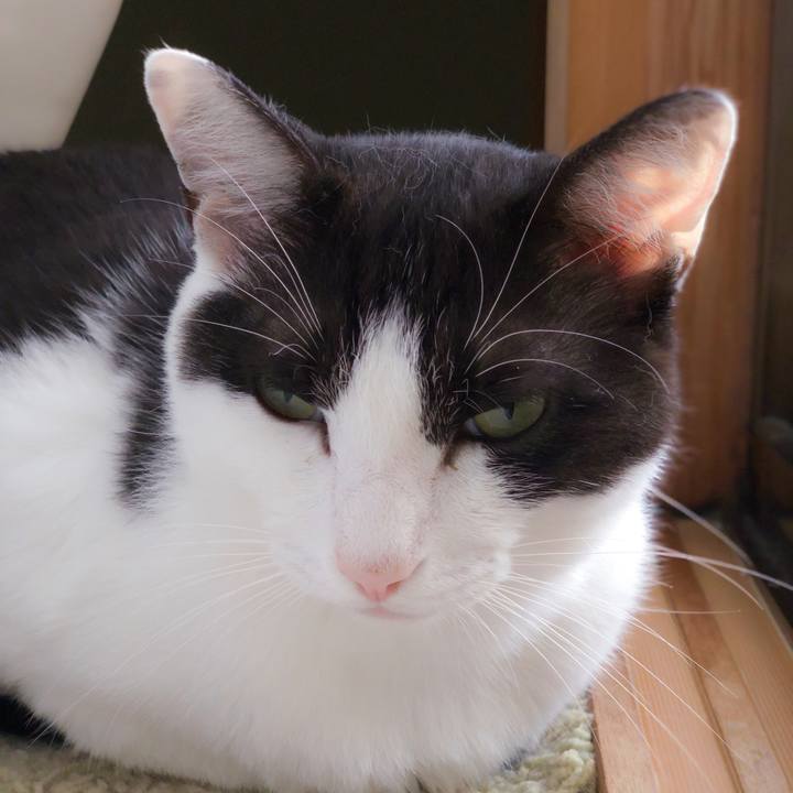 001e9bcf 0ef1 4576 977a 8a5b7d37711e 1563585927469