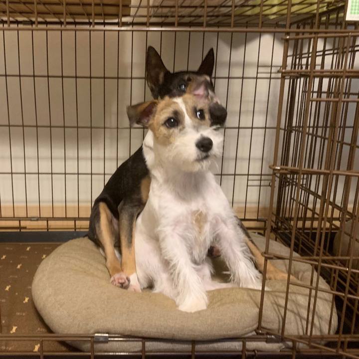 001ec684 9f01 4e2c ba36 8ad28ec5d45f 1576629583280