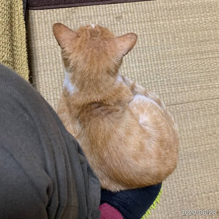 001f09cb da24 4a03 926b 5233448fa085 1593291281334