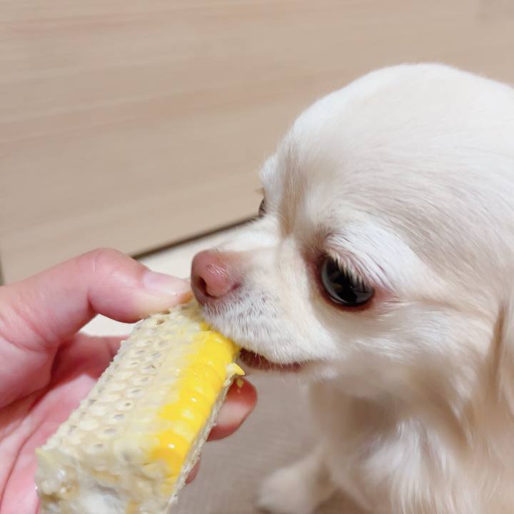 001f166e dbf7 4dc6 8777 9239f63cc386 1717412707768