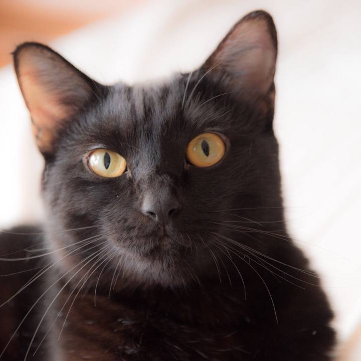 001f586f 090f 4ab3 835c 0c88e09f0efb 1541290098940