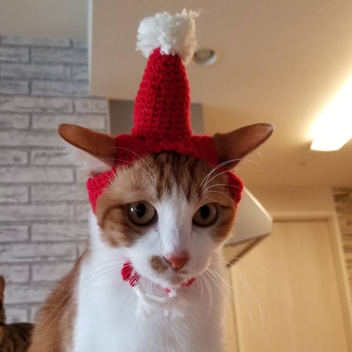 001f5a61 2e9d 4614 9443 4a21fb78833f 1550812662567