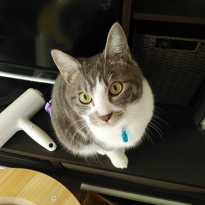 001f7aff c539 4141 9485 d779cc363955 1581564175904