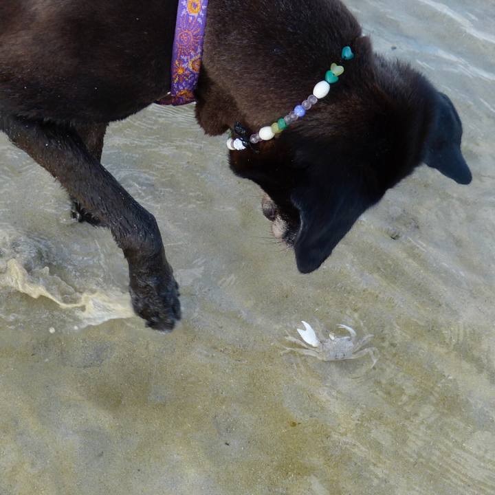 001fa62f b9c6 4b50 9651 a553ae6e1f7c 1575291059833