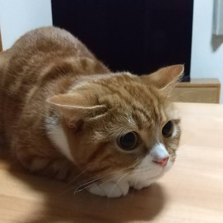 001fb247 bcf8 410b 93f5 dcf484e726f0 1667646731893