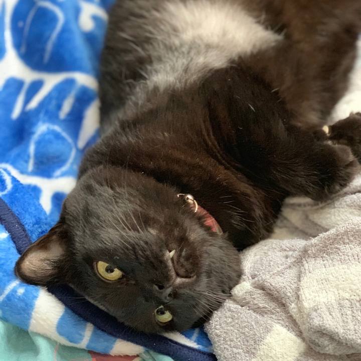 001fb271 c2ad 4e11 9375 d3f8a2a6af0a 1560307517239