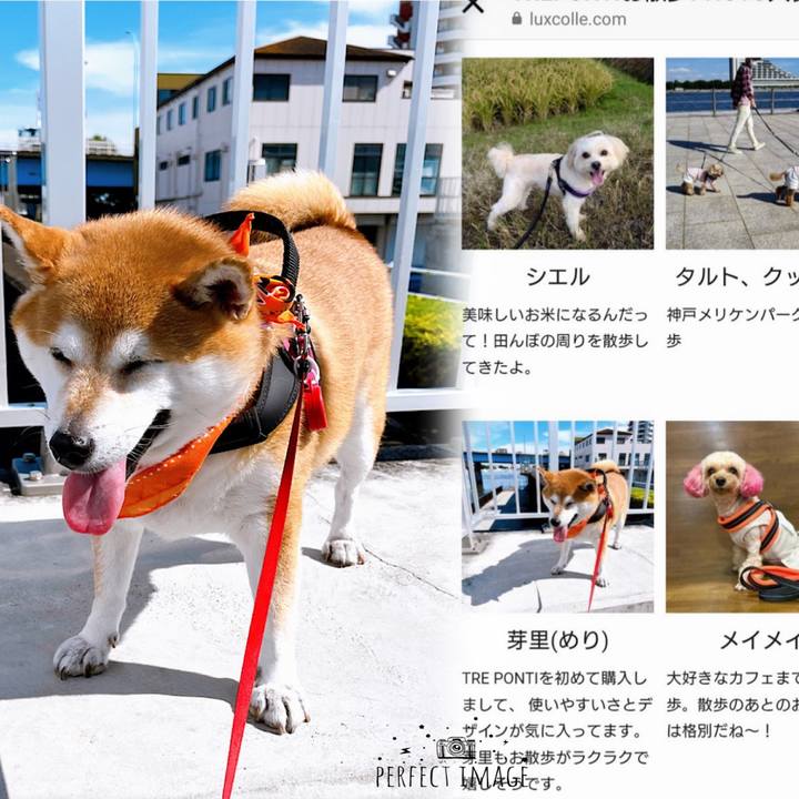 0020023a 1151 4c31 9adb 6de4471b79c8 1667281060856