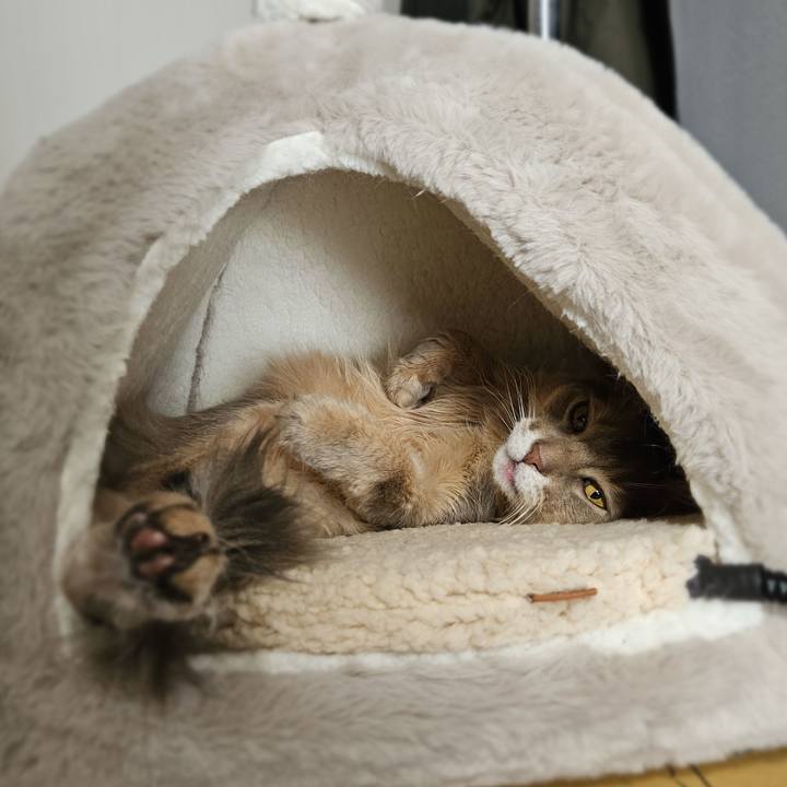 00201241 e9ec 431a 9414 8d9b3c4d32b8 1766124022978