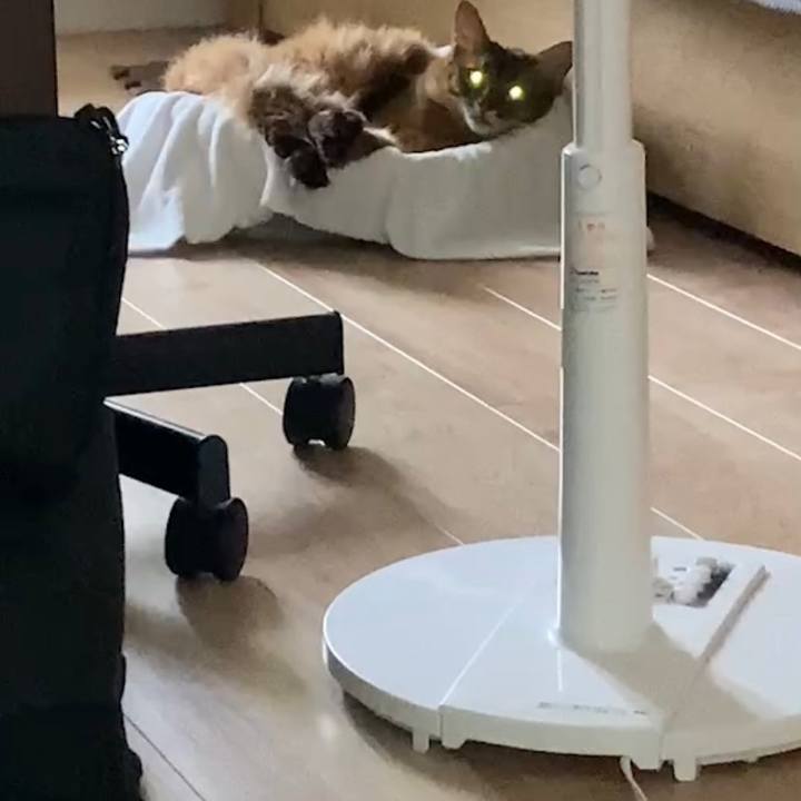 0020455f 4a47 45ed afa9 27a4223ca758 1663118339270