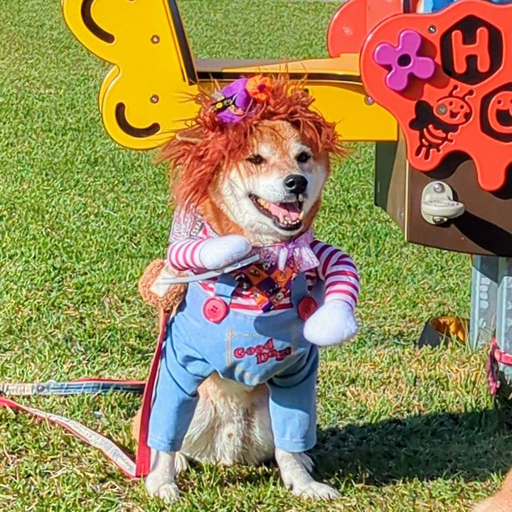 002049e7 212f 4728 bb98 02dd5ec2b358 1761879005572