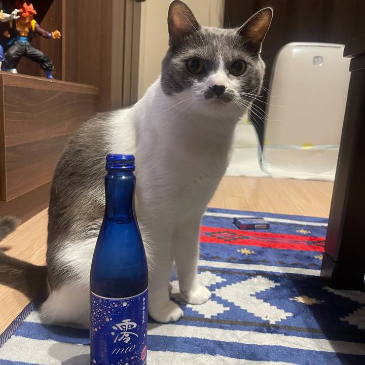 00205e5f b2e5 42cf 9e35 f1635b352e8b 1632322393186