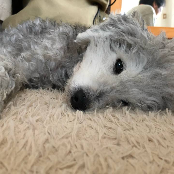 00206002 0038 40d6 9392 80424bd3e683 1707263963936