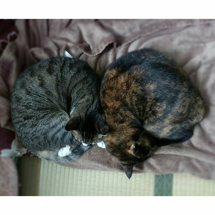 0020a677 8817 4317 904a daf3986edc5a 1507860863755