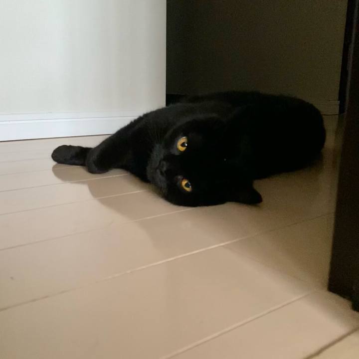 0020c093 7efa 461c a20c 7f6dacb7baba 1724747066948