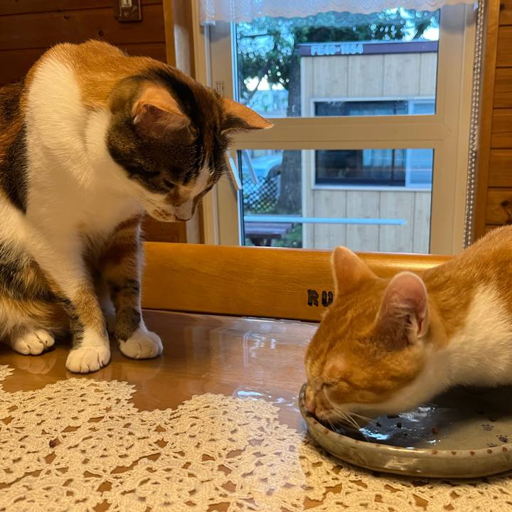 00210a16 7d14 47de 8bbf 25fe8850b23c 1665526254820