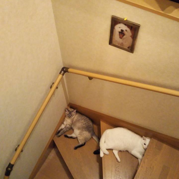 002143c4 5f51 470b b2d3 7ce076836bc8 1536145245600