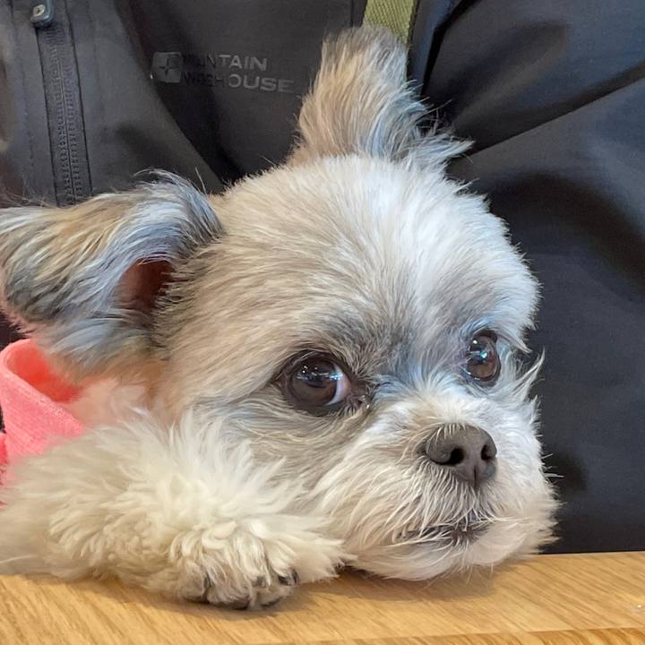 00217922 e44b 48f2 8979 4b5df8627393 1648195277815