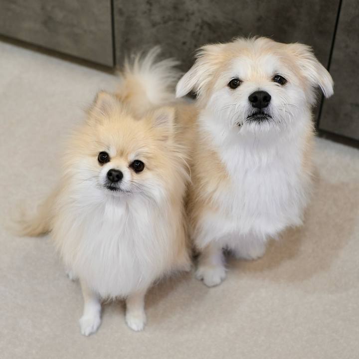 00218258 2da2 4d3c b757 401d0bae5568 1771452552989