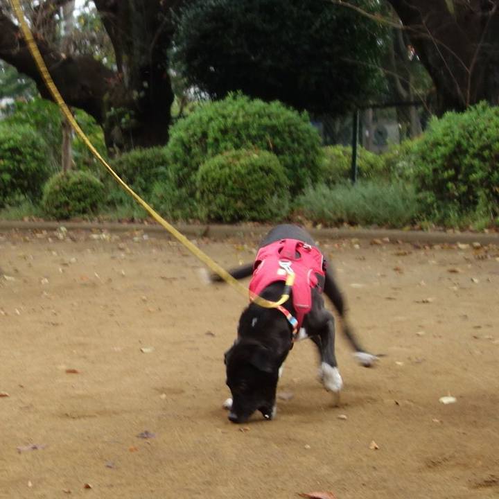 0021956c 79ed 48dd aee7 0058b659d0fc 1601857558772