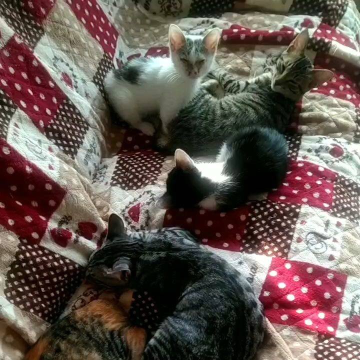 0021ae86 c969 4b5e 83e0 9215e68810e2 1698563753560