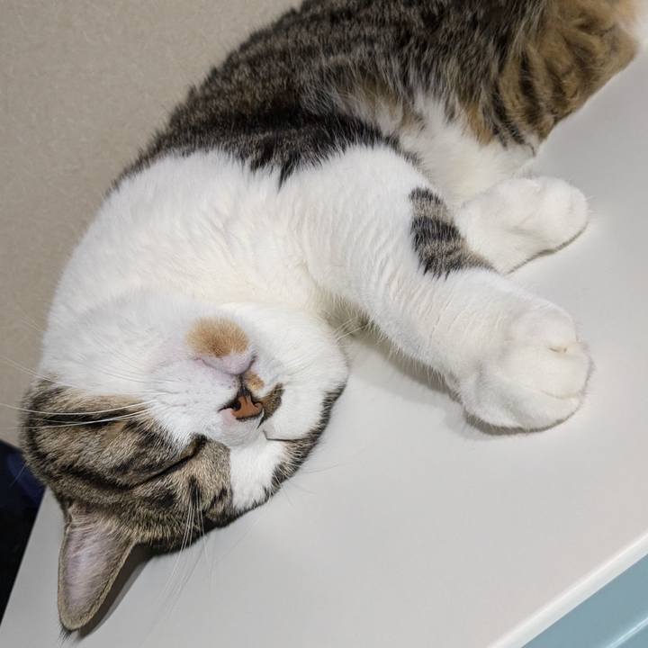 0021b8b8 5667 4833 af22 8edab6bd071f 1725510846639