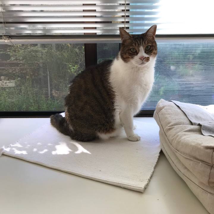 0021d019 2b6f 4259 acd0 e782c99e8a84 1601289239568