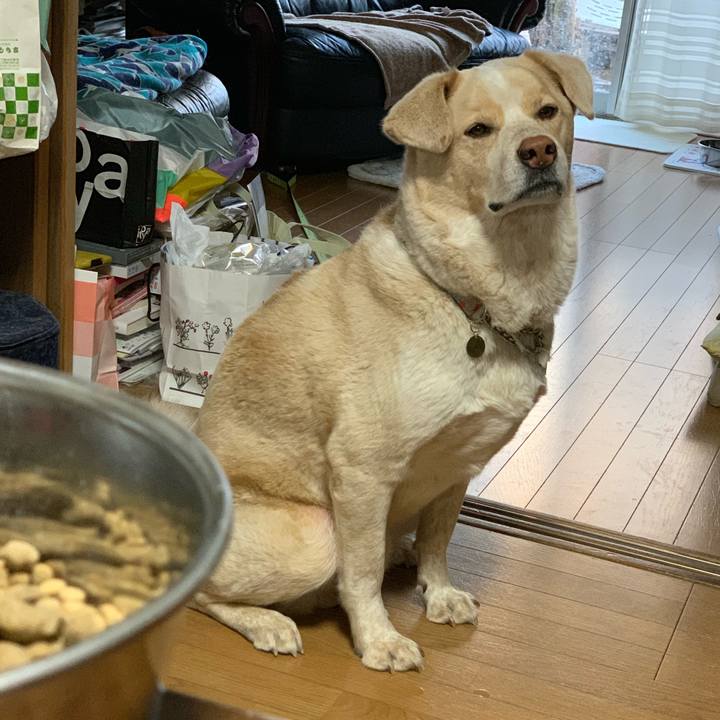 0021d12a fb94 4f9b 91fe 13fcdf573092 1550044955699