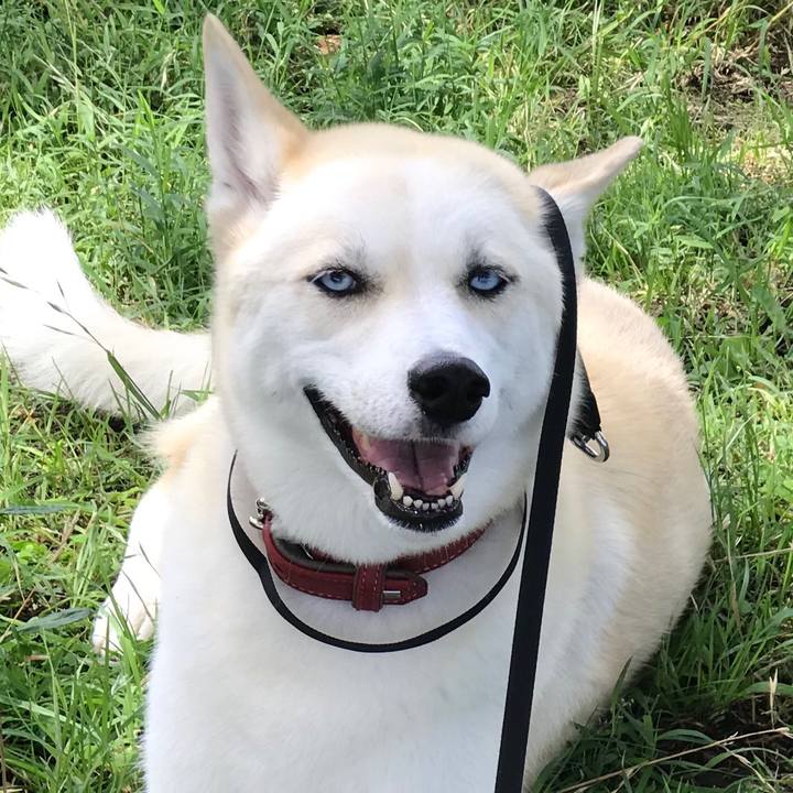 0021d354 f544 4fe6 9bf3 90d6fca516c4 1529982322223