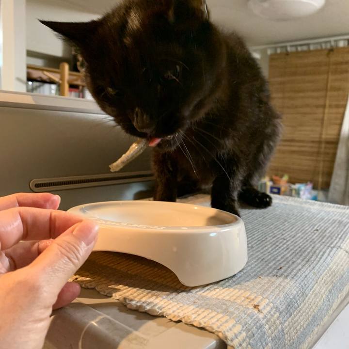 0021d77f 7215 4f59 8949 591ead0b6012 1543919809794