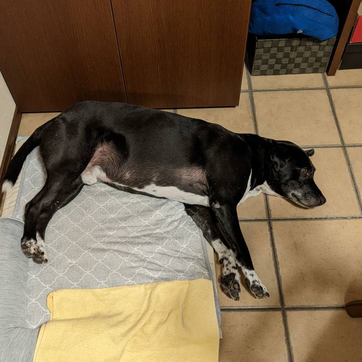 0021e470 55e9 4e19 be47 16d11cf4f80e 1694561824760