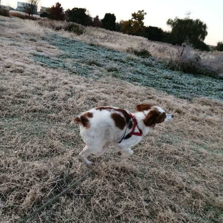 0021ed31 6794 4f8d add1 277264bf4a18 1575848252220