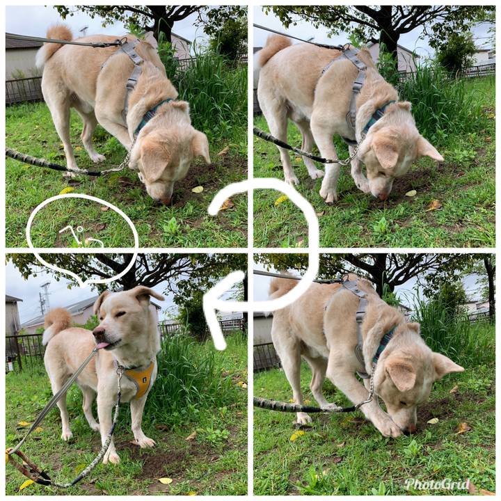 00221c39 abe5 4e9e b610 5dc08d6dcba8 1556163257730